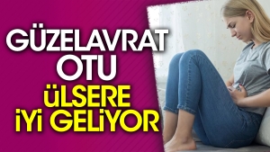 guzelavrat-otu-ulsere-guzel-geliyor-SFpKbJzJ.jpg