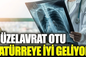 guzelavrat-otu-zaturreye-l-geliyor-22CPCwQq.jpg