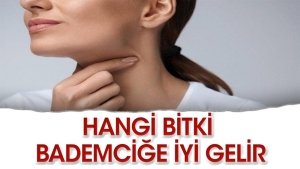 hangi-bitki-bademcik-agrisina-yeterli-gelir-8KmtBwyz.jpg