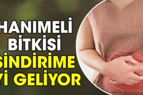hanimeli-bitkisi-sindirime-l-geliyor-aynn8AJf.jpg
