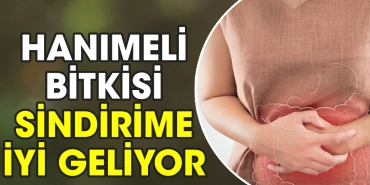 hanimeli-bitkisi-sindirime-l-geliyor-aynn8AJf.jpg