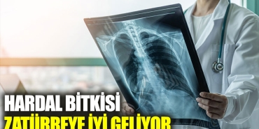 hardal-bitkisi-zaturreye-guzel-geliyor-2bWlKrj9.jpg