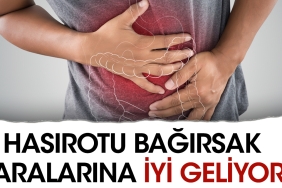 hasirotu-bagirsak-yaralarina-l-geliyor-wvq8pHph.jpg