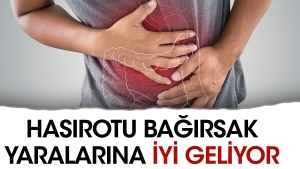 hasirotu-bagirsak-yaralarina-l-geliyor-wvq8pHph.jpg