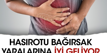hasirotu-bagirsak-yaralarina-l-geliyor-wvq8pHph.jpg