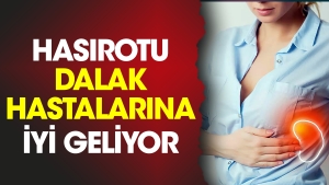 hasirotu-dalak-hastalarina-guzel-geliyor-5c5VGCVv.jpg