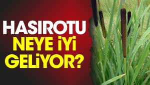 hasirotu-neye-guzel-geliyor-u4MAFdsx.jpg