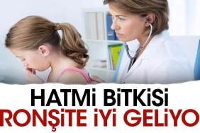 hatmi-bitkisi-bronsite-uygun-geliyor-2dYNGMUl.jpg
