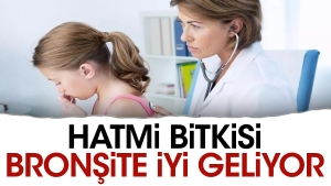 hatmi-bitkisi-bronsite-uygun-geliyor-2dYNGMUl.jpg