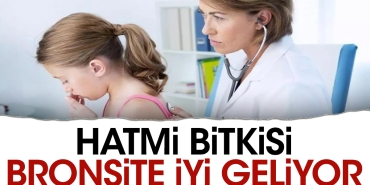 hatmi-bitkisi-bronsite-uygun-geliyor-2dYNGMUl.jpg