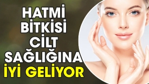 hatmi-bitkisi-cilt-sihhatine-yeterli-geliyor-uKiuRZt3.jpg