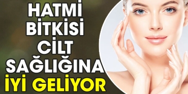 hatmi-bitkisi-cilt-sihhatine-yeterli-geliyor-uKiuRZt3.jpg