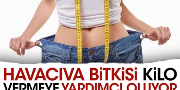 havaciva-bitkisi-kilo-vermeye-yardimci-oluyor-UEtXaYlC.jpg