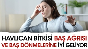 havlican-bitkisi-bas-agrisi-ve-bas-donmelerine-uygun-geliyor-laD1i7tm.jpg