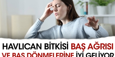 havlican-bitkisi-bas-agrisi-ve-bas-donmelerine-uygun-geliyor-laD1i7tm.jpg