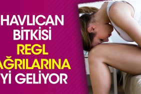 havlican-bitkisi-regl-agrilarina-l-geliyor-ByOGvNyB.jpg