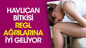 havlican-bitkisi-regl-agrilarina-l-geliyor-ByOGvNyB.jpg