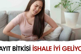 hayit-bitkisi-ishale-yeterli-geliyor-8UZbQUQA.jpg