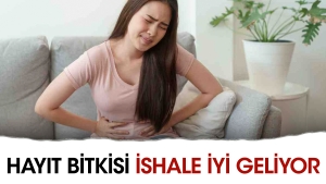 hayit-bitkisi-ishale-yeterli-geliyor-8UZbQUQA.jpg