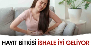 hayit-bitkisi-ishale-yeterli-geliyor-8UZbQUQA.jpg