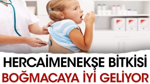 hercaimenekse-bitkisi-bogmacaya-l-geliyor-Rq7ttPxl.jpg