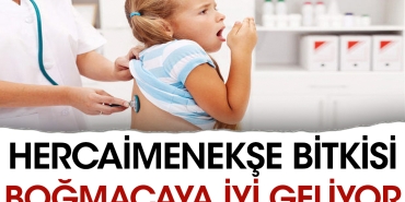hercaimenekse-bitkisi-bogmacaya-l-geliyor-Rq7ttPxl.jpg