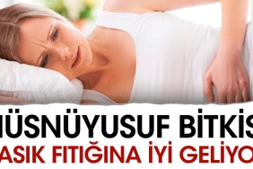 husnuyusuf-bitkisi-kasik-fitigina-guzel-geliyor-NbRpOMFd.jpg