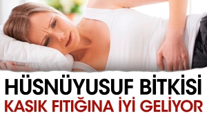 husnuyusuf-bitkisi-kasik-fitigina-guzel-geliyor-NbRpOMFd.jpg