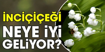 incicicegi-neye-yeterli-geliyor-zOgGrhzT.jpg