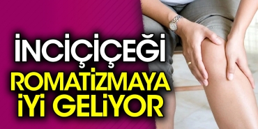 incicicegi-romatizmaya-uygun-geliyor-p1yvFm42.jpg