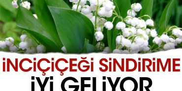 incicicegi-sindirime-uygun-geliyor-hENUZZKr.jpg