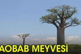 iste-baobab-meyvesi-SaAHACV5.jpg