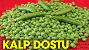 iste-bezelyenin-cok-az-bilinen-faydalari-mbENrAQw.jpg