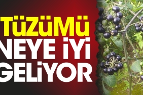 ituzumu-neye-duzgun-geliyor-rEvlWT5i.jpg