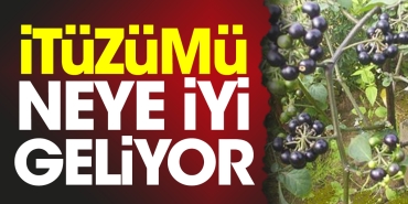 ituzumu-neye-duzgun-geliyor-rEvlWT5i.jpg