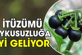 ituzumu-uykusuzluga-duzgun-geliyor-tijZyf3U.jpg