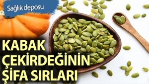 kabak-cekirdegi-en-cok-neye-l-gelir-LCCy6VSr.jpg