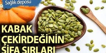 kabak-cekirdegi-en-cok-neye-l-gelir-LCCy6VSr.jpg