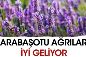 karabasotu-agrilara-guzel-geliyor-FnKqbakW.jpg