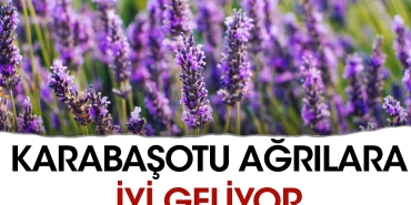 karabasotu-agrilara-guzel-geliyor-FnKqbakW.jpg