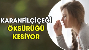 karanfil-cicegi-oksurugu-kesiyor-lD8kDJzV.jpg