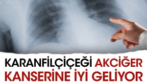 karanfilcicegi-akciger-kanserinin-duzgun-geliyor-vqx6LaHH.jpg
