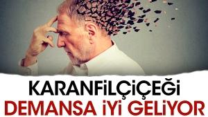 karanfilcicegi-demansa-uygun-geliyor-qnCH6Fys.jpg