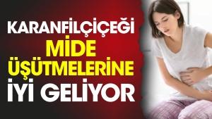 karanfilcicegi-mide-usutmelerine-duzgun-geliyor-ZO1xKFMJ.jpg