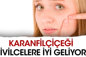 karanfilcicegi-sivilcelere-uygun-geliyor-179LldIq.jpg