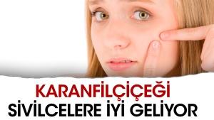 karanfilcicegi-sivilcelere-uygun-geliyor-179LldIq.jpg