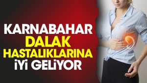 karnabahar-dalak-hastaliklarina-l-geliyor-BvnTVUOk.jpg