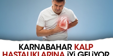 karnabahar-kalp-hastaliklarina-uygun-geliyor-2JXU9g5x.jpg