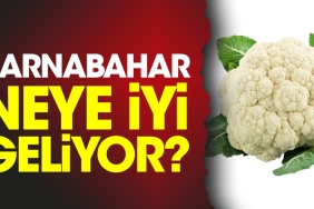karnabahar-neye-guzel-geliyor-AOjHRWQK.jpg