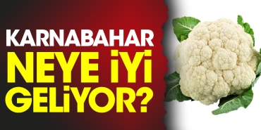 karnabahar-neye-guzel-geliyor-AOjHRWQK.jpg